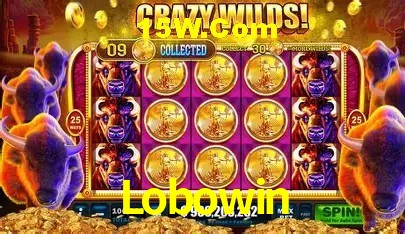 Lobowin Brasília - Betting Features