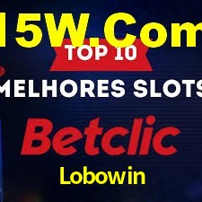 Statistics Lobowin